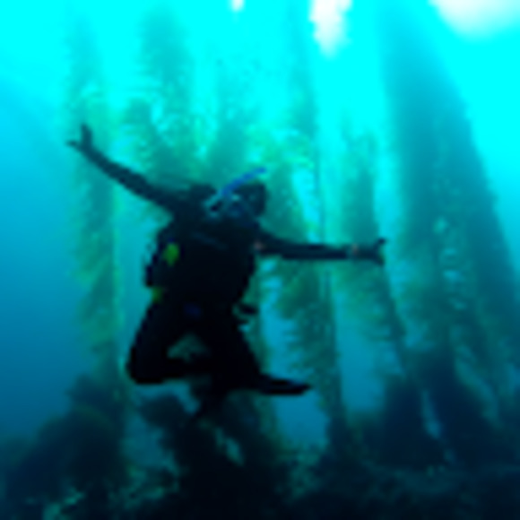 Meet your Posher, Rena - Picture 1 of 1